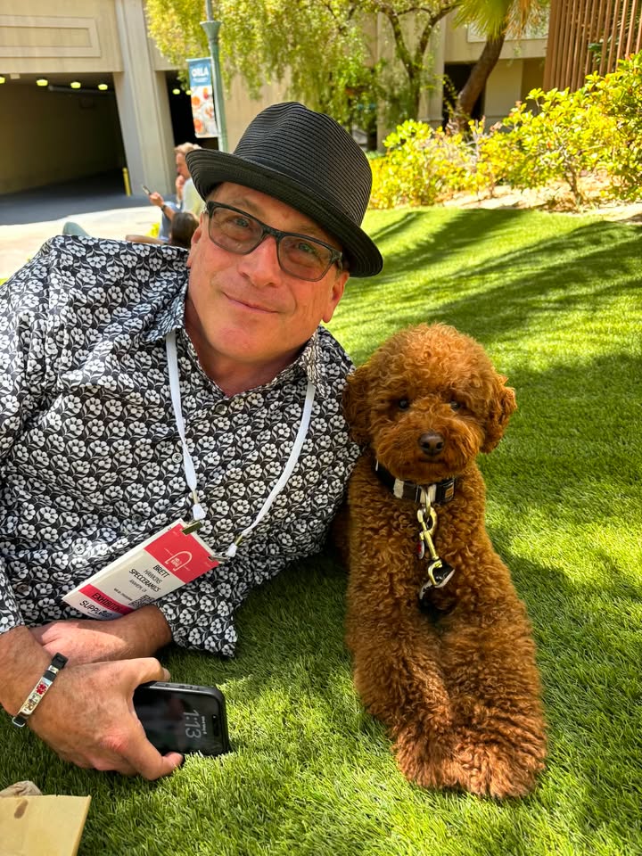 Cointreau — Mountain Valley Poodles puppy photo 2