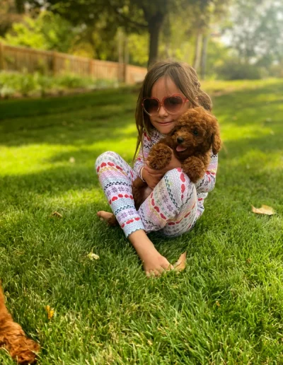 Young girl wearing sunglasses and patterned pajamas sits on green grass, smiling and hugging a mini red poodle puppy. Trees and a wooden fence are visible in the background on a sunny day, perfect for playful poodle puppies Utah families adore.
