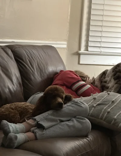 A person in a red sweater and jeans is lying curled up on a brown couch with their face turned away, while a mini red poodle rests its head on their legs. A gray pillow and a blanket are nearby.