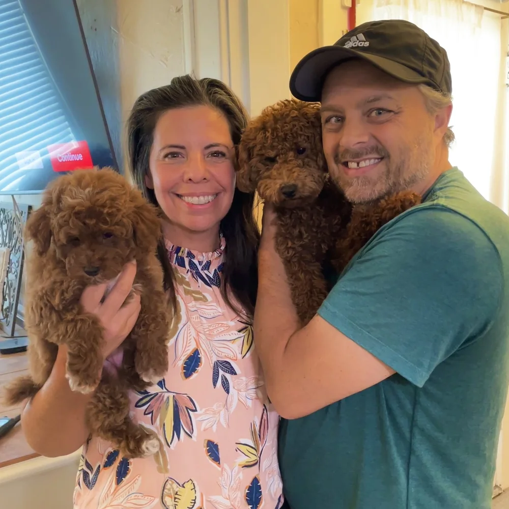 Mountain Valley Poodles - Stephanie Sanders - Mini Poodle Puppies For Sale in Utah A smiling woman and man stand close together indoors, each holding adorable mini poodle puppies. The woman wears a light patterned blouse, and the man wears a green shirt and cap. A television is in the background. Perfect day with poodle puppies Utah!.