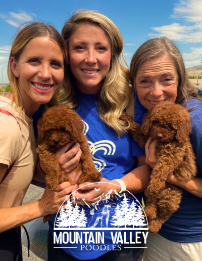 Three smiling women stand outdoors, each holding a fluffy brown poodle puppy. Blue sky and trees set the scene, with a white Mountain Valley Poodles logo below—perfect for those seeking poodle puppies in Utah from a trusted mini poodle breeder.