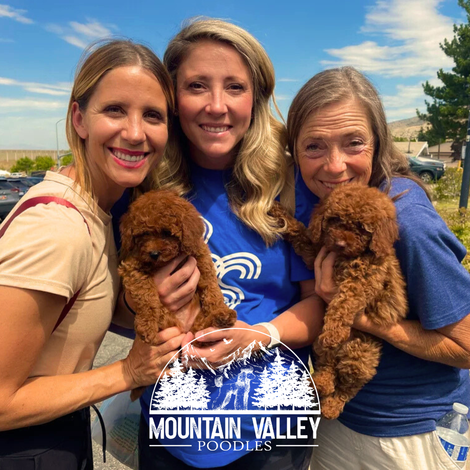 Mountain Valley Poodles - Stephanie Sanders - Mini Poodle Puppies For Sale in Utah Three smiling women stand outdoors, each holding a fluffy brown poodle puppy. Blue sky and trees set the scene, with a white Mountain Valley Poodles logo below—perfect for those seeking poodle puppies in Utah from a trusted mini poodle breeder.