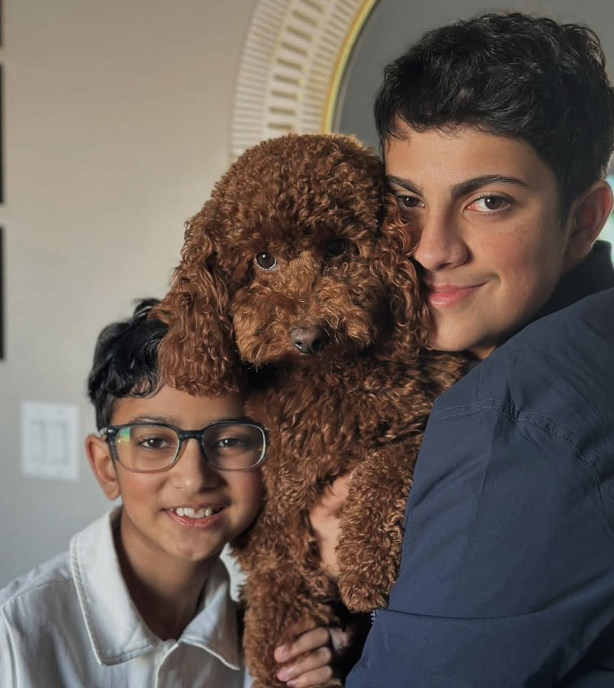 Hershey — Mountain Valley Poodles puppy photo 1